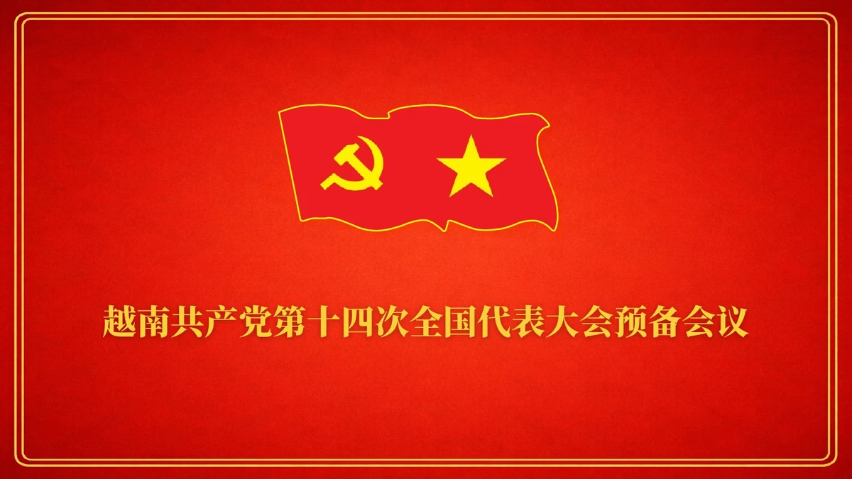越南共产党第十四次全国代表大会预备会议【图表新闻】