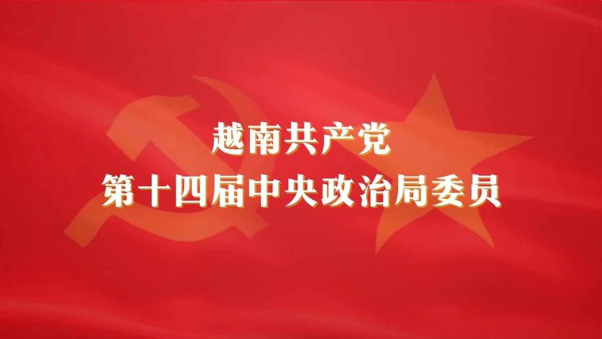 越南共产党第十四届中央政治局委员名单【图表新闻】