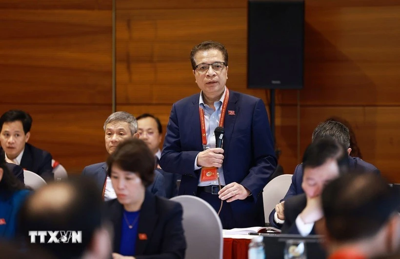 越南外交部党委代表团代表邓明魁大使。